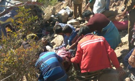 5 killed in Ramnagar mini-bus road accident