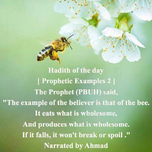 Hadith of the day