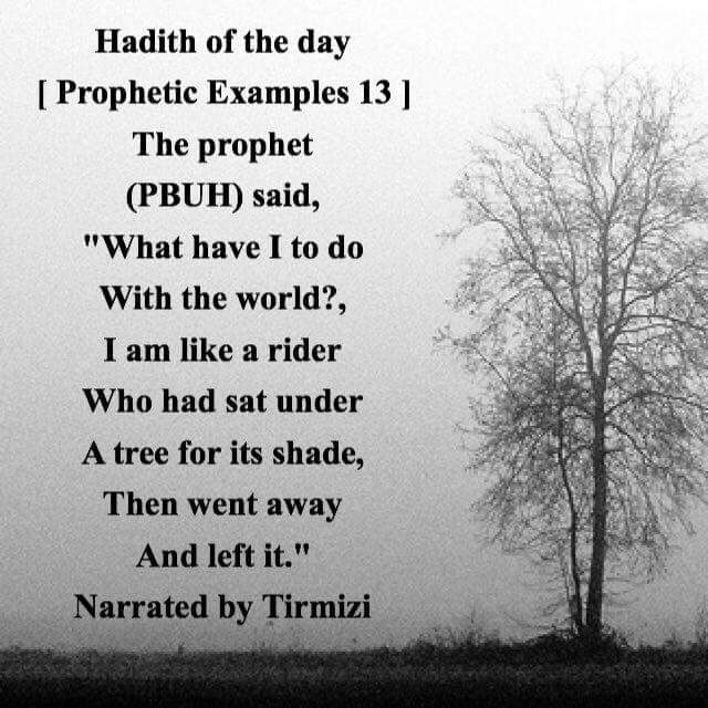 Hadith of the Day