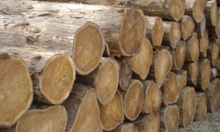 Non-Availability of Timber in Ganderbal depots