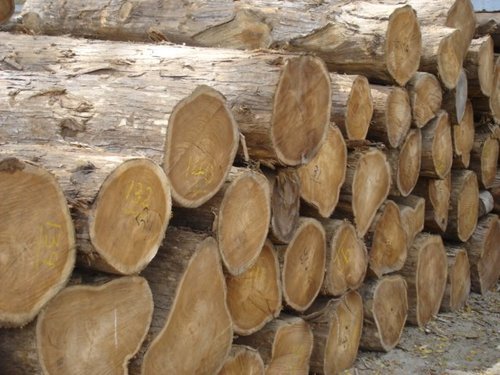 Non-Availability of Timber in Ganderbal depots