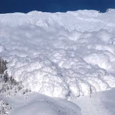 No avalanche warning issued: 11 lives could have been saved
