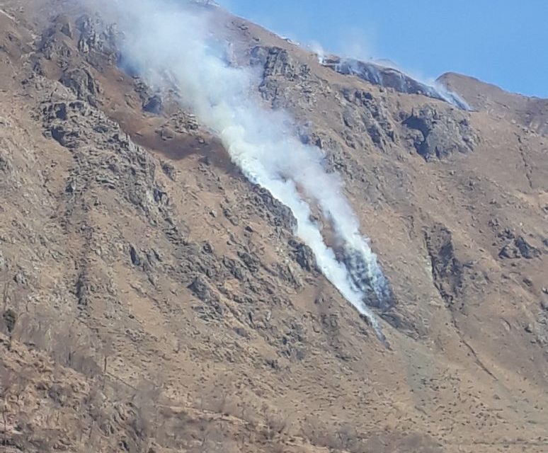 Pak violates truce, fires unprovoked on LoC in Poonch