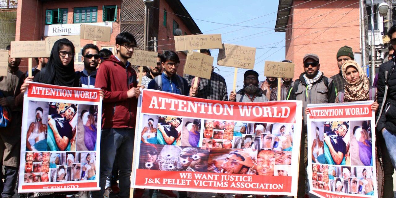 Pellet victims held protest says need no compensation from govt or sympathies from Separatists.
