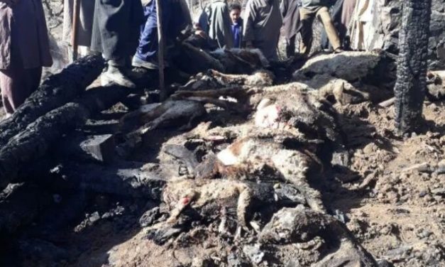 55 sheep, goats charred alive in fire at Lolab