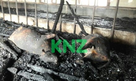 Govt Cow shed damaged in fire incident in Ranbirbagh Ganderbal