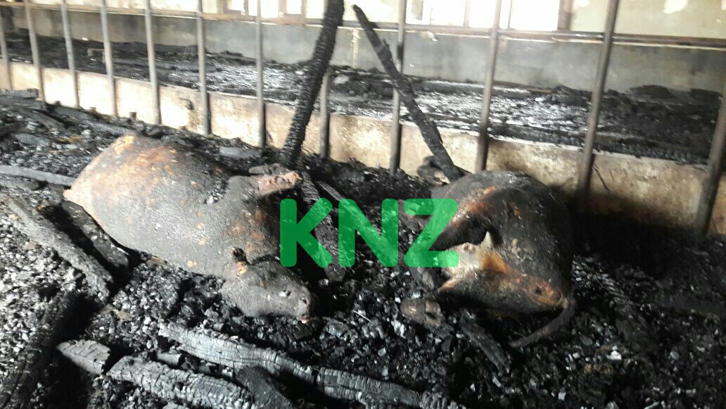 Govt Cow shed damaged in fire incident in Ranbirbagh Ganderbal