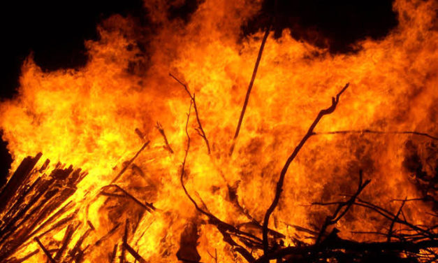 Cowshed Gutted In Massive Fire At Dethu Area Of Anantnag