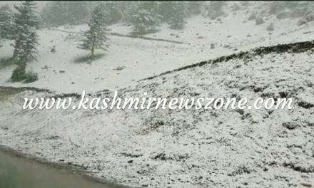 Fresh snowfall In Famous tourist resort of Sonamarg