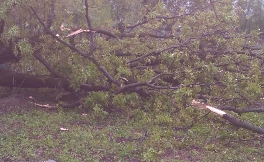 Incessant rains coupled with strong winds wreaked havoc across south Kashmir areas on Friday.