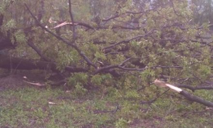 Incessant rains coupled with strong winds wreaked havoc across south Kashmir areas on Friday.