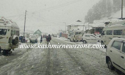 Fresh snowfall In Sonamarg,traffic Suspended on Srinagar Leh highway