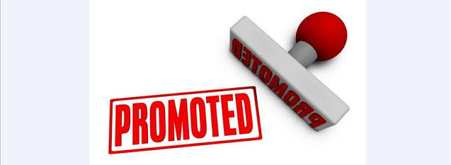 Saleem-ur-Rehman promoted as DG, Shah Faisal as Sec Tourism