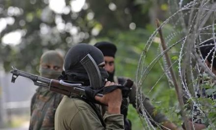 28 youth join militant ranks this month in South Kashmir
