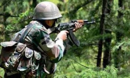 Militants, army exchange gunfire in Kupwara forests, searches launched