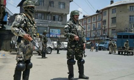 Kulgam shuts down against militant killings