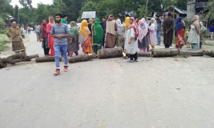 Water Crisis Irks Thajiwara Kulgad (Anantnag) Residents