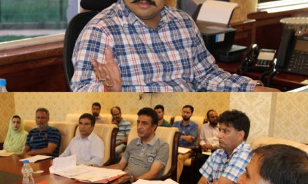 DDC Ganderbal reviews progress of ongoing road projects