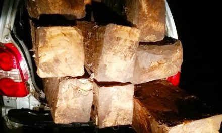 Police seized timber logs In Car worth lakhs of rupees in Ganderbal