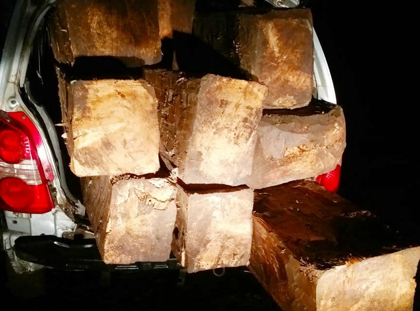 Police seized timber logs In Car worth lakhs of rupees in Ganderbal