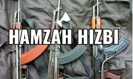 Shopian attack carried by our, Hizb cadres: JeM ‘Says militants also decamp with three rifles of cops’