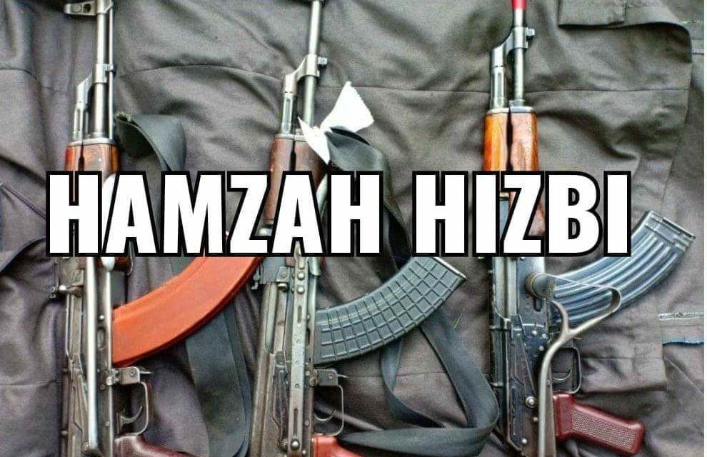 Shopian attack carried by our, Hizb cadres: JeM ‘Says militants also decamp with three rifles of cops’