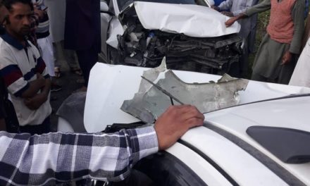 Road Accident in Kokernag,Anantnag 8 injured
