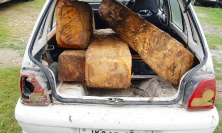 Maruti Car with Illicit timber seized in Ganderbal