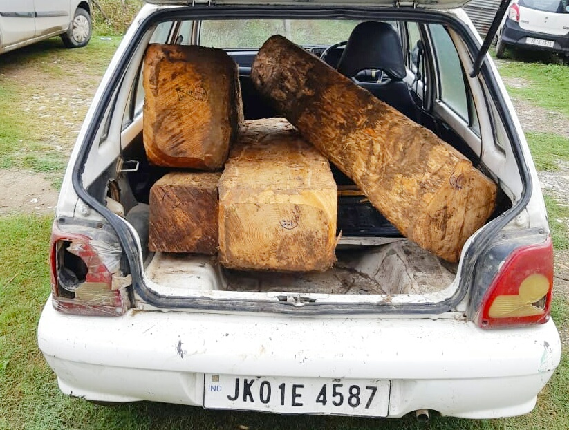 Maruti Car with Illicit timber seized in Ganderbal