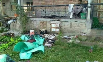 Two militant houses set ablaze in Shopian, allege families