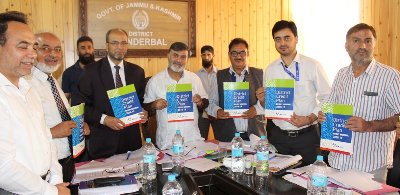 DLRC Meeting held in Ganderbal Banks extend Rs 95.84 Crores for the Quarter June 2018 in Ganderbal