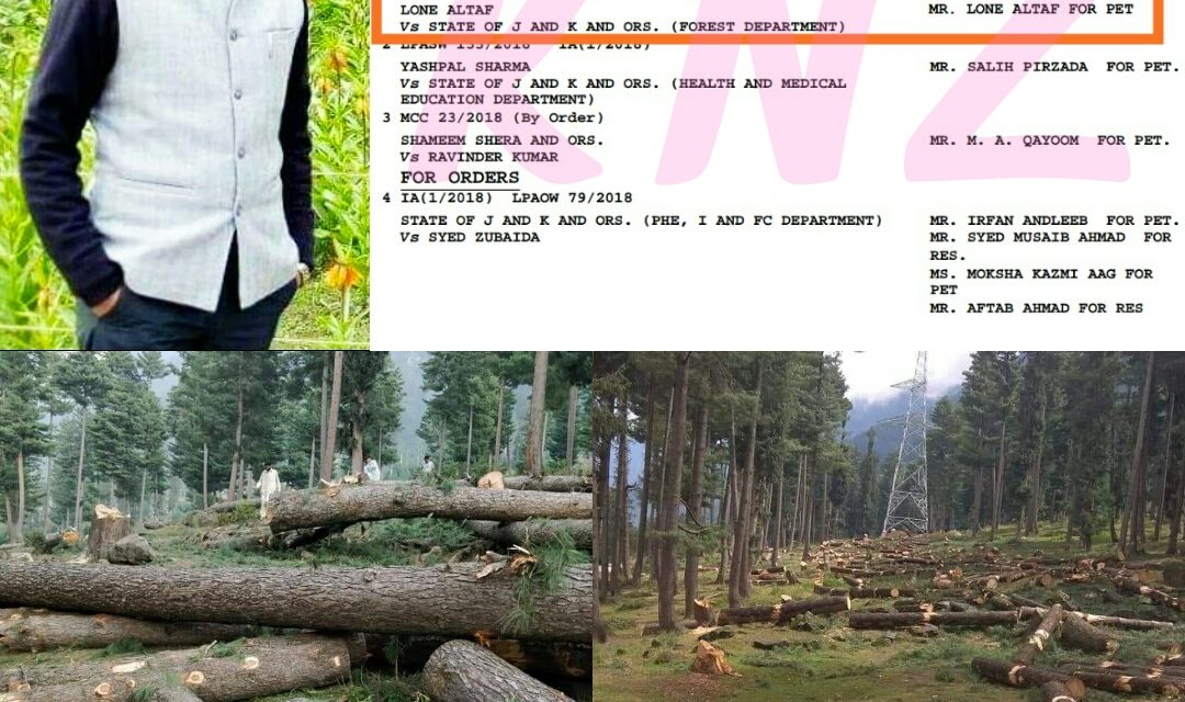 Advocate Lone Altaf files PIL against deforestation in sind Forest division