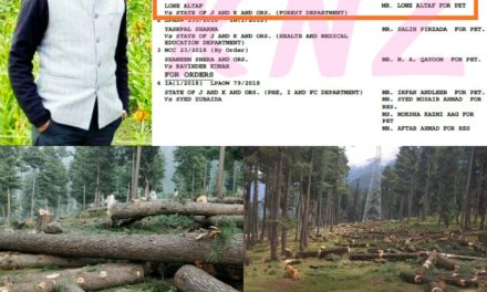 Advocate Lone Altaf files PIL against deforestation in sind Forest division