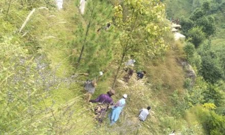 Four passengers killed, seven others injured as Sumo plunges into gorge in Doda