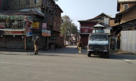 Shutdown, restrictions paralyse life in Kashmir