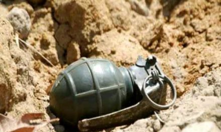 Grenade lobbed at former legislator’s house in Shopian