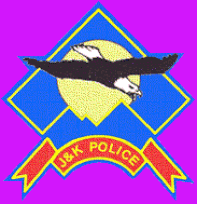 Weapon Snatching Incident in Pulwama: Police