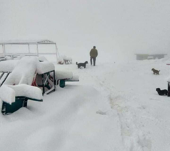 Gulmarg, Pahalgam, other higher reaches experience snow, rain in plains