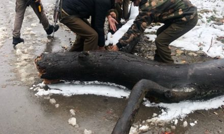 Police undertakes snow clearance work; removes fallen trees from roads