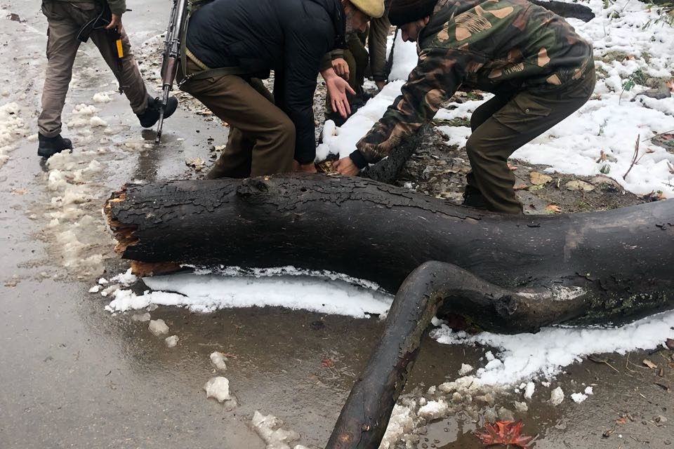 Police undertakes snow clearance work; removes fallen trees from roads