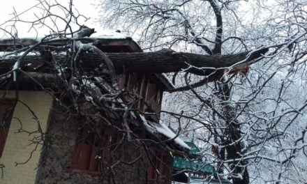 Snow aftermath : Walnut tree falls on residential house in Uri