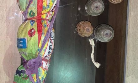 Woman held alongwith 20 grenades, ammunition from Srinagar outskirts