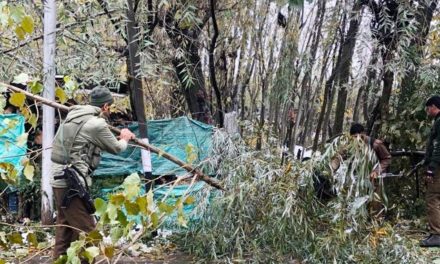 Joint team of Police, SDRF, PDD carry snow clearance work in Harwan.