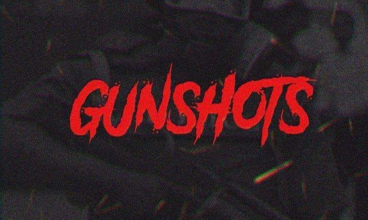 Amid some gunshots CASO launched in Tral, Encounter likely