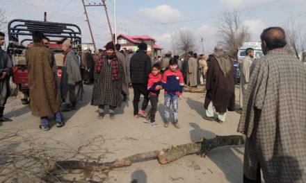 Protest against power crisis in Sopore