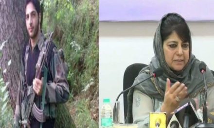 Burhan Wani picked up gun only after his brother was thrashed by task force: Mehbooba