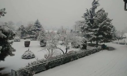 Fresh and widespread snowfall in Kashmir valley