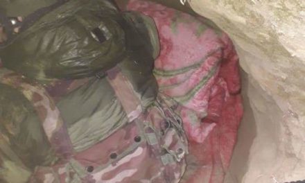 Militant hideout busted in Pulwama