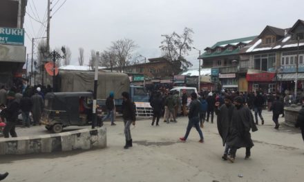 Flash:Grenade attack on CRPF party in Srinagar