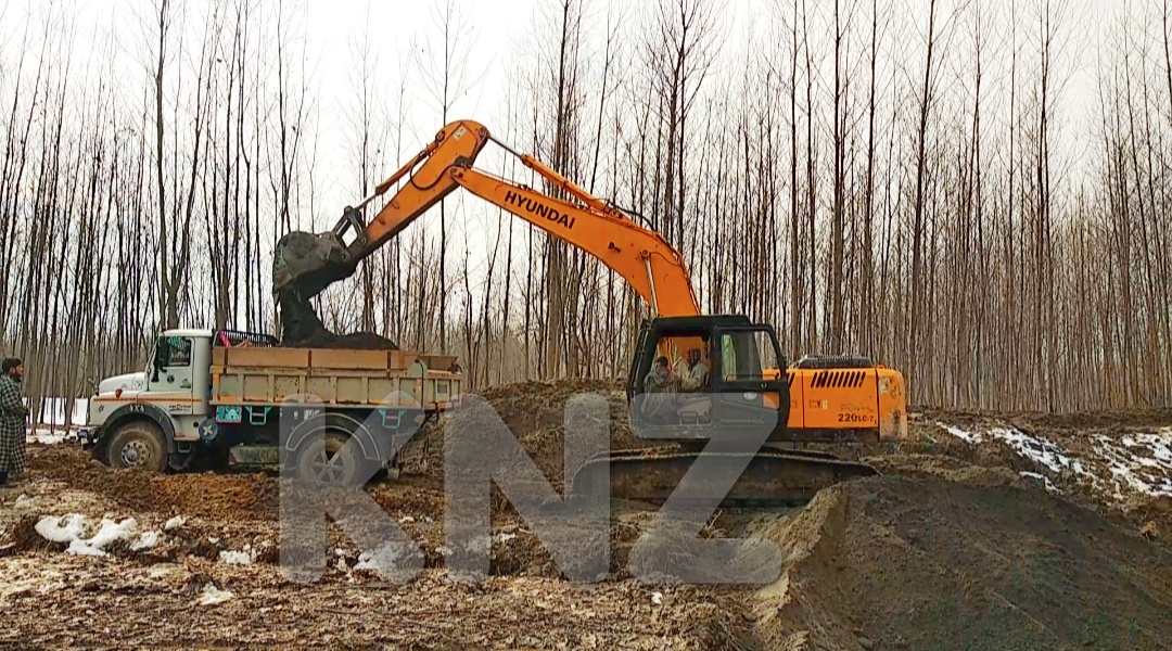 Popular Trees cut-down for illegal sand mining in Wakura Ganderbal